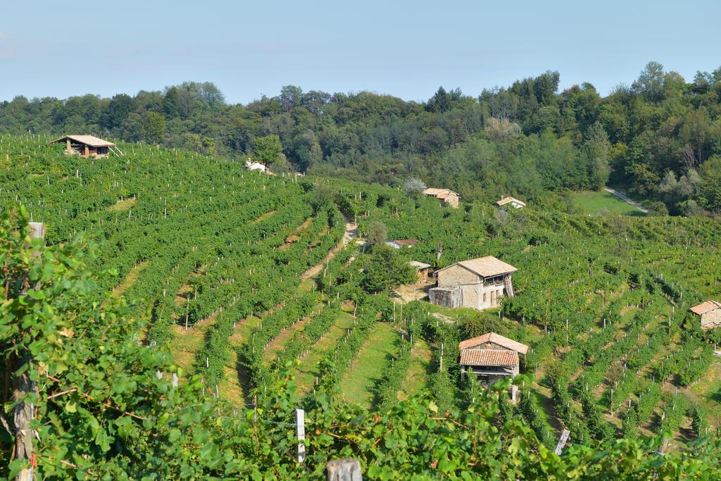 Agriturismo Crodi Miane Exteriér fotografie