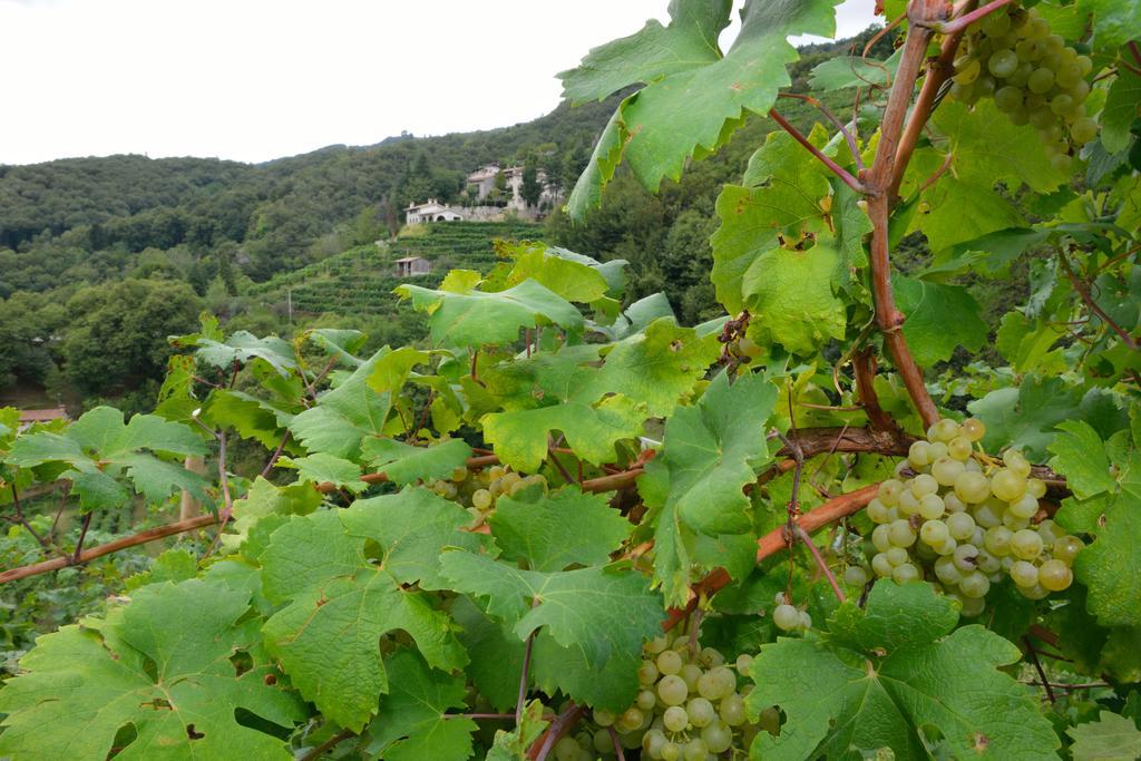 Agriturismo Crodi Miane Exteriér fotografie