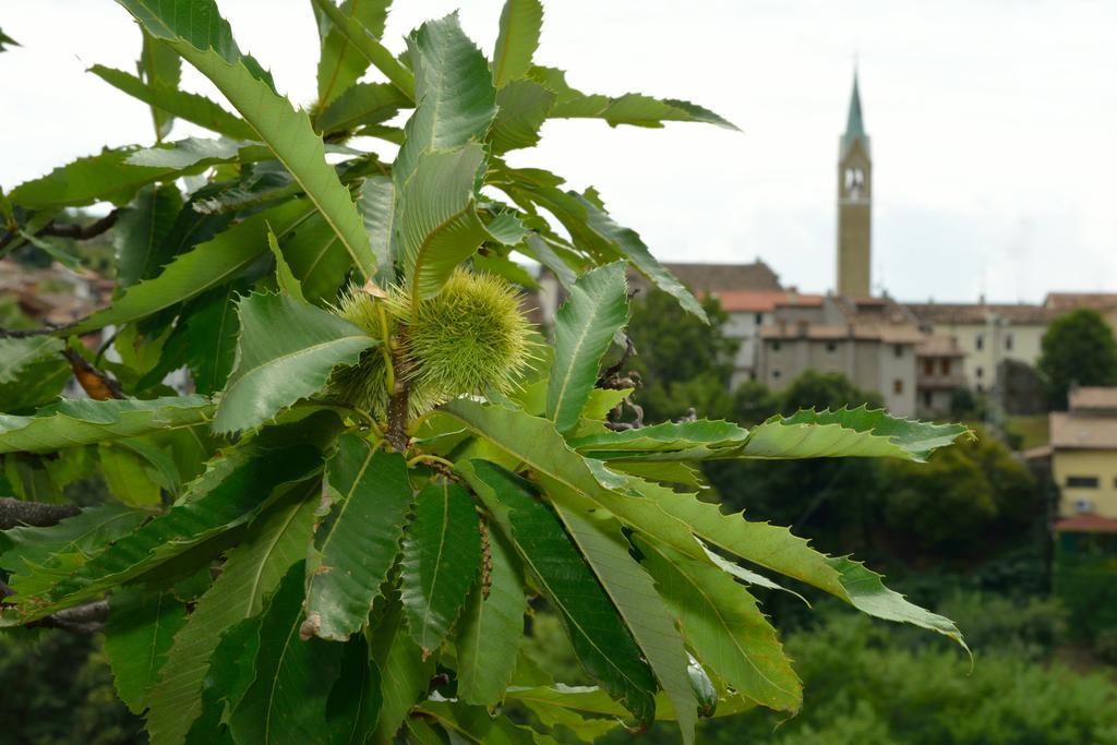 Agriturismo Crodi Miane Exteriér fotografie